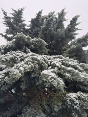 260129-Seniorenwanderung-02