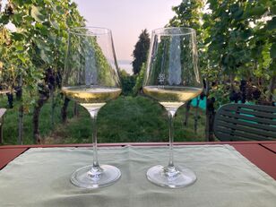 Weinwandertag