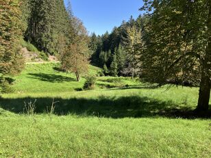 250626-Wanderung-02