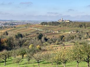 Naturfreunde-Wanderung-Kraichgau01
