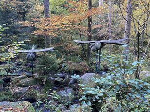 Wanderung-Wildkatzenpfad-1