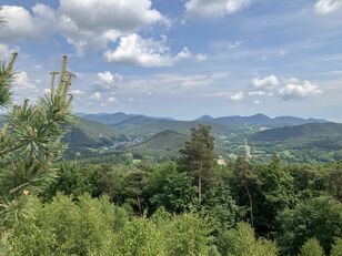 250521-Pfalz-Wanderung-2