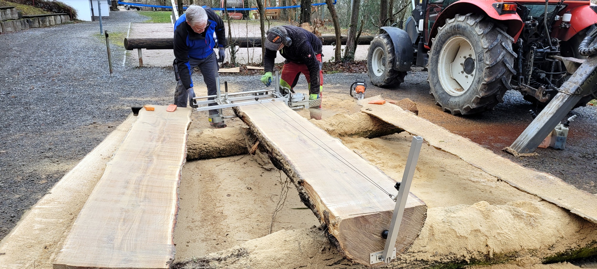 Saegen der Staemme Saegen der Staemme