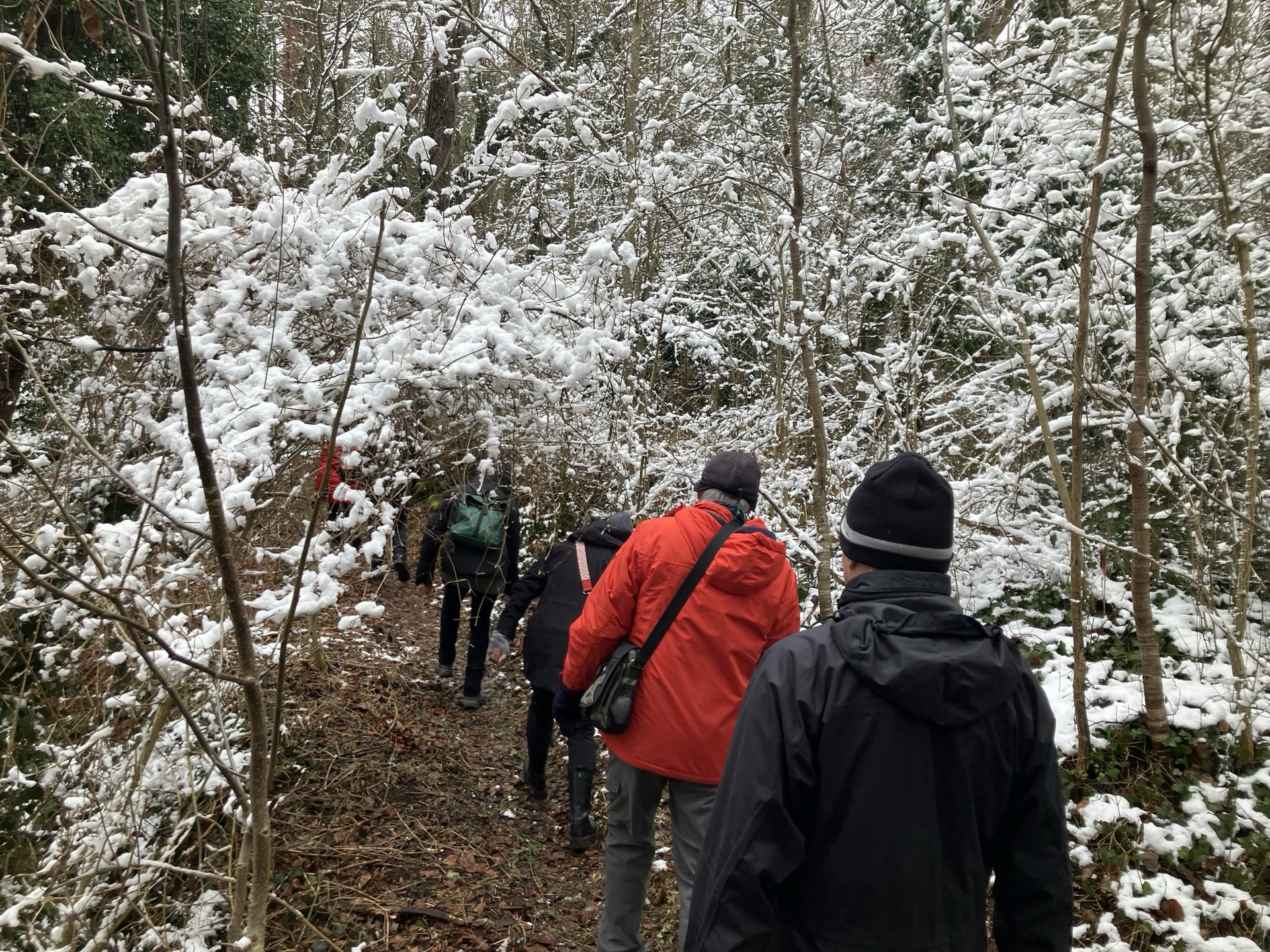 Naturfreunde Wanderung Enzschleife 1 Naturfreunde Wanderung Enzschleife 1