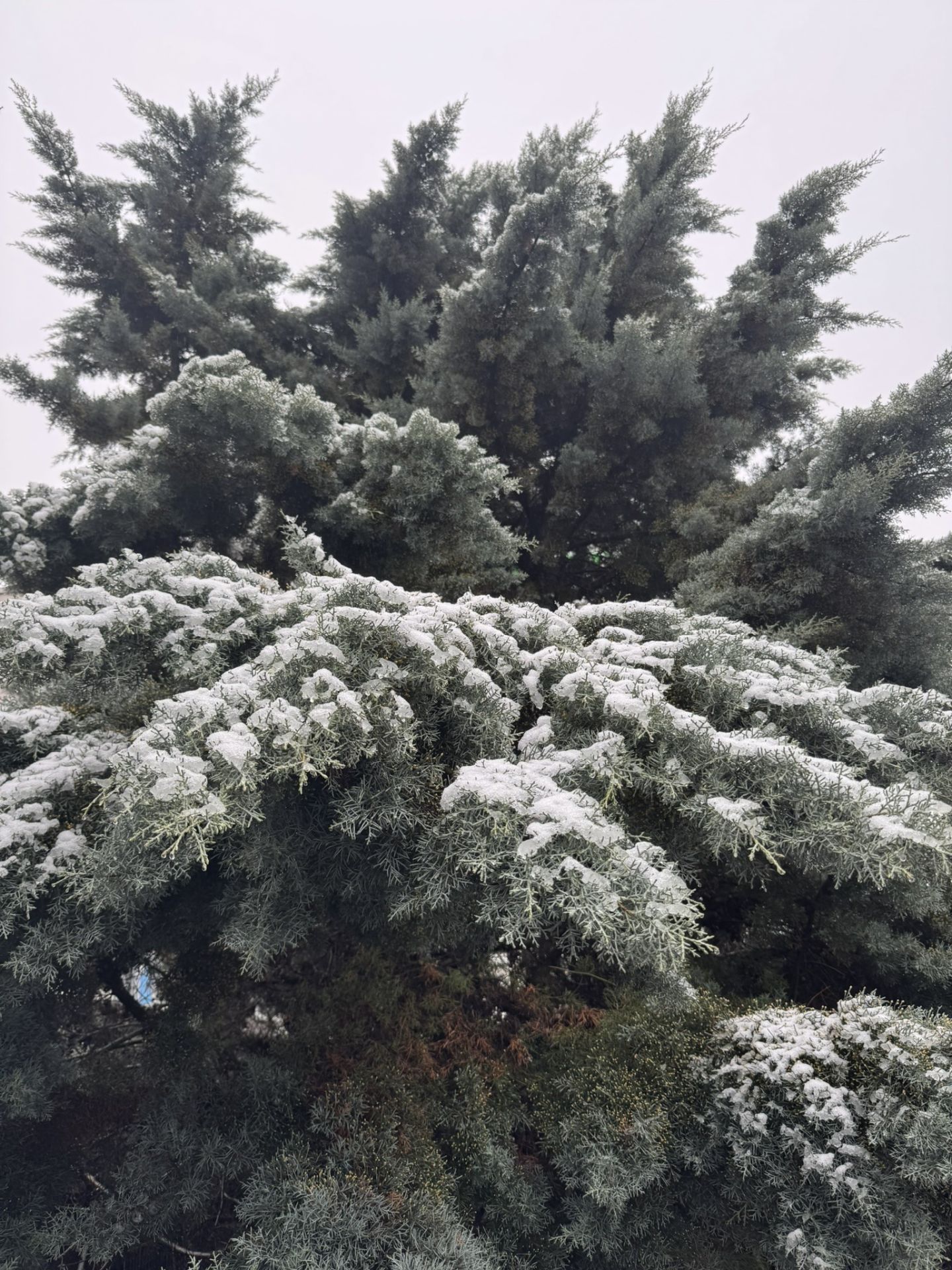 260129-Seniorenwanderung-02