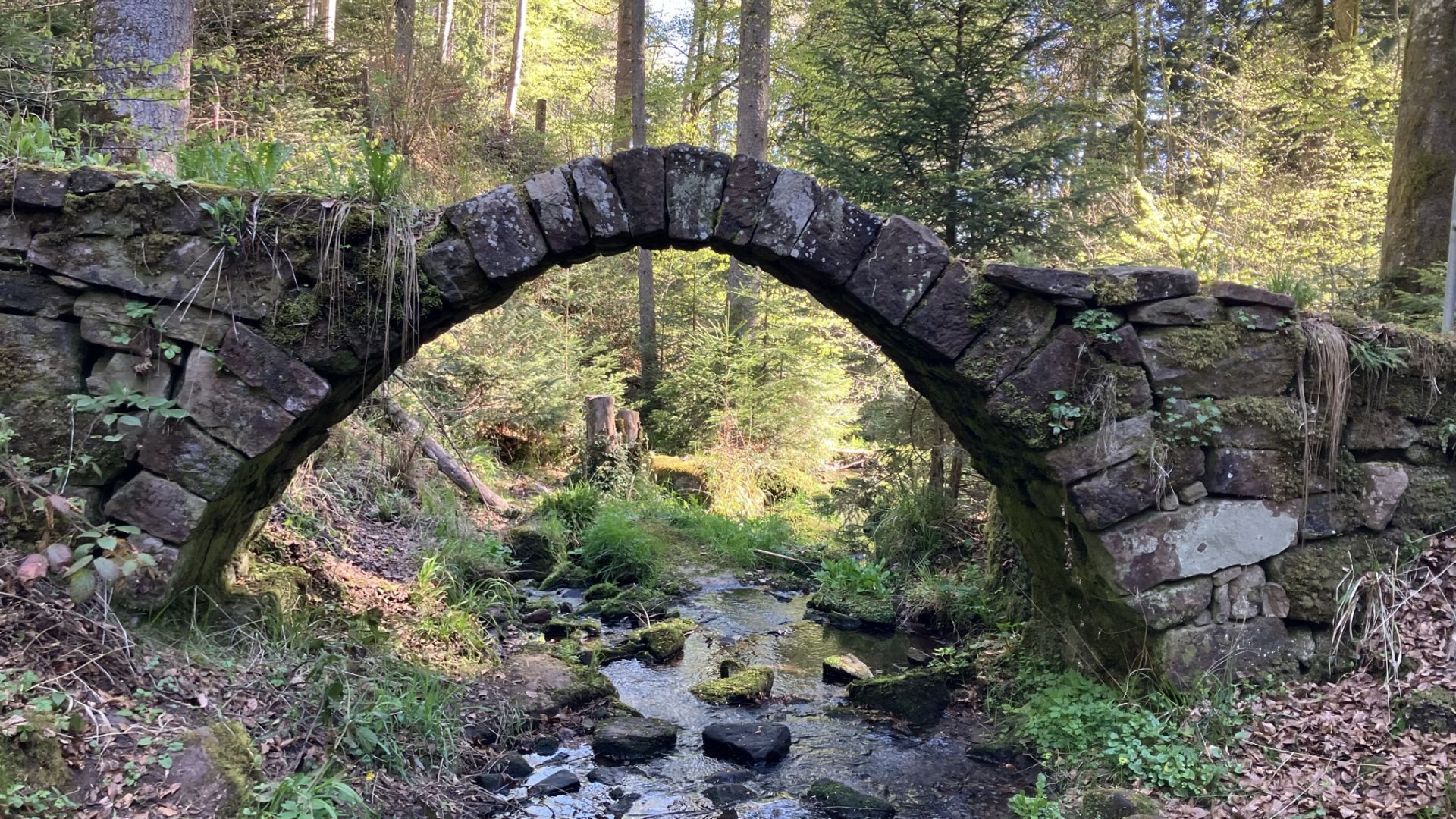 Senioren Wanderung April 2026 Bild 4